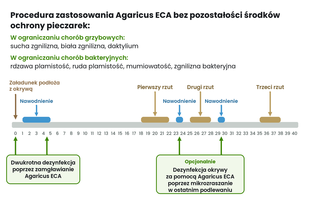Schemat stosowania Agaricus ECA w uprawie pieczarek: oś 40 dni od załadunku podłoża z okrywą, nawodnienia i trzy rzuty; dwukrotne zamgławianie hali Agaricus ECA na początku cyklu i opcjonalna dezynfekcja okrywy przez mikrozraszanie w ostatnim podlewaniu przed drugim i trzecim rzutem