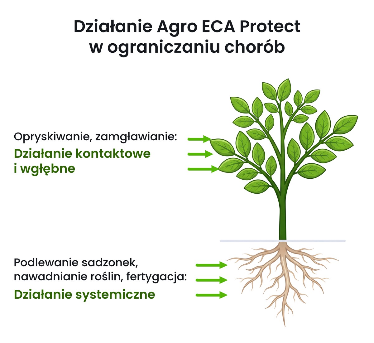 Schemat działania Agro ECA Protect